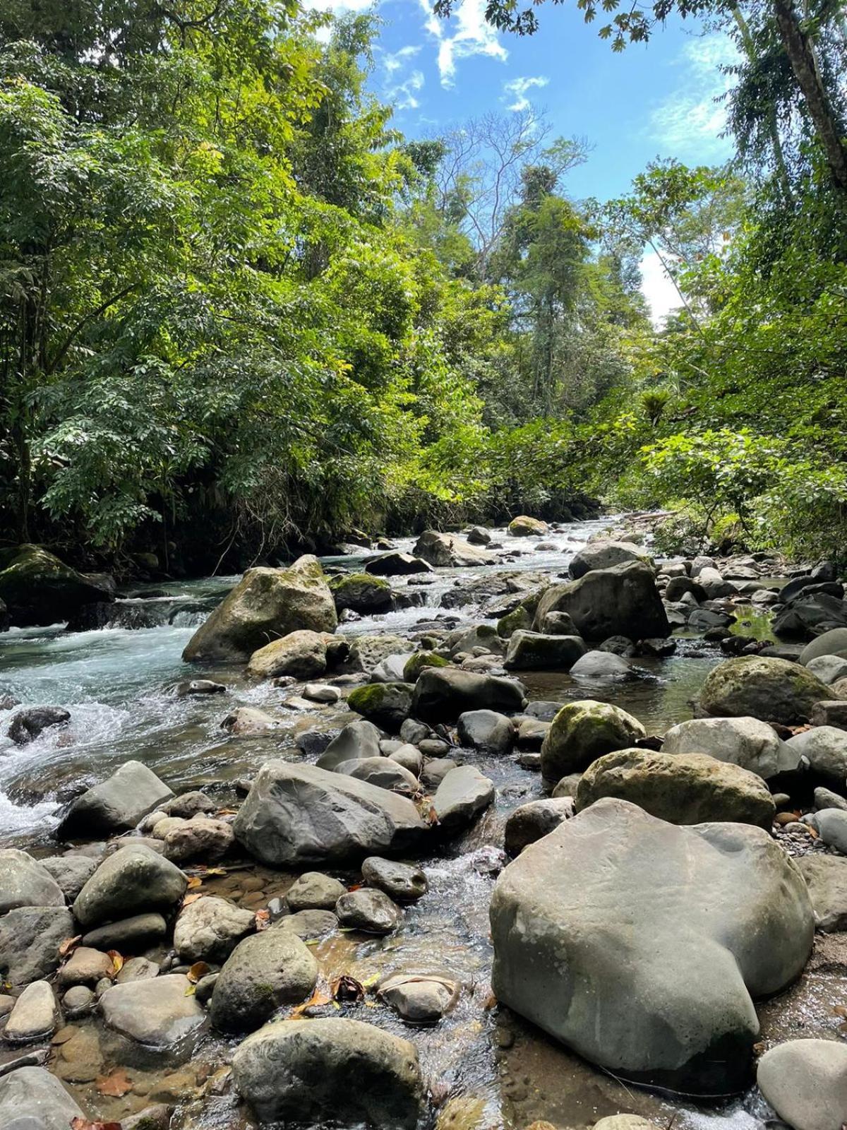 Cabinas La Catarata La Fortuna ภายนอก รูปภาพ